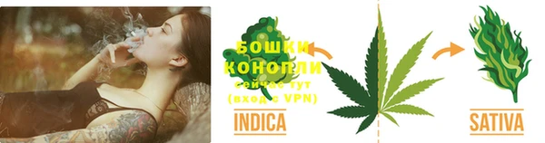 PSILOCYBIN Алзамай