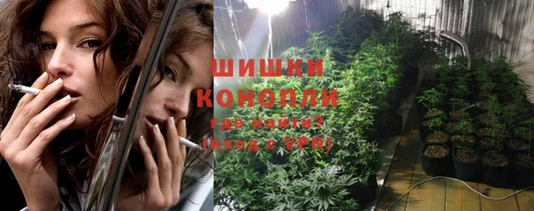 PSILOCYBIN Алзамай