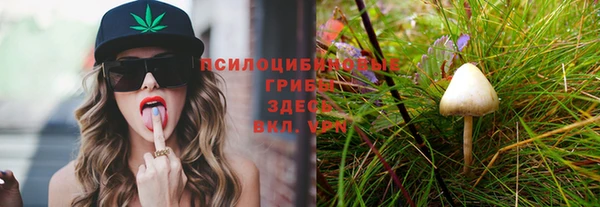 PSILOCYBIN Алзамай